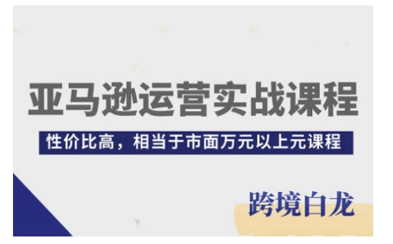 亚马逊运营实战课程，亚马逊从入门到精通，性价比高，相当于市面万元以上元课程-生财社