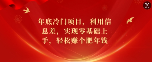 年底冷门项目，利用信息差，实现零基础上手，轻松赚个肥年钱【揭秘】-生财社