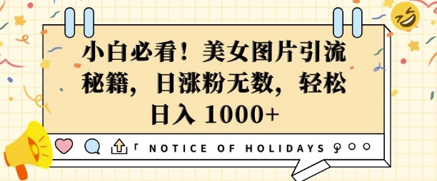 小白必看，美女图片引流秘籍，日涨粉无数，轻松日入几张【揭秘】-生财社