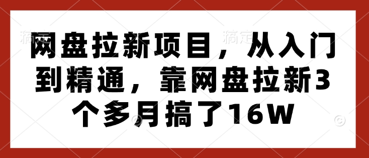 网盘拉新项目，从入门到精通，靠网盘拉新3个多月搞了16W-生财社