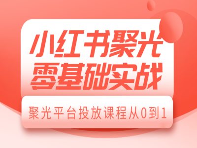 小红书聚光零基础实战，聚光平台投放课程从0到1-生财社