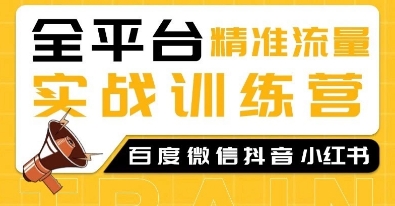 全平台精准流量实战训练营，百度微信抖音小红书SEO引流教程-生财社