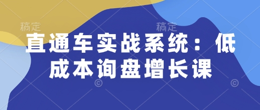 直通车实战系统：低成本询盘增长课，让个人通过技能实现升职加薪，让企业低成本获客，订单源源不断-生财社