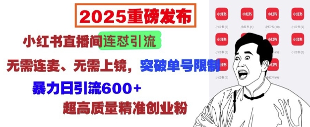 2025重磅发布：小红书直播间连怼引流，无需连麦、无需上镜，突破单号限制，暴力日引流600+-生财社