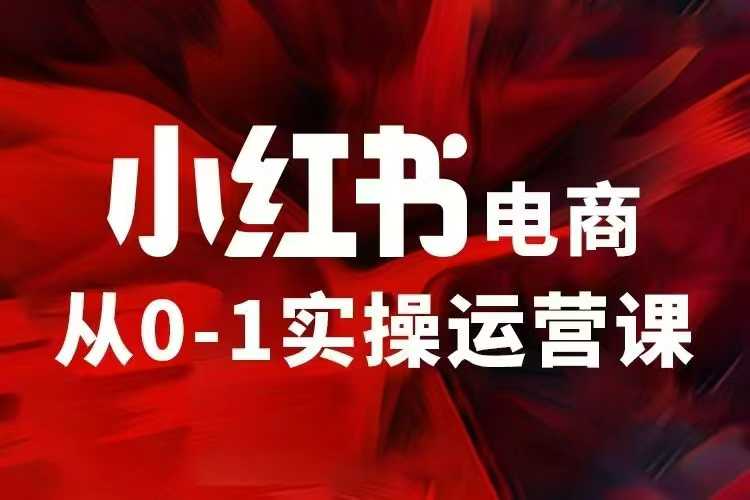 小红书电商运营，97节小红书vip内部课，带你实现小红书赚钱-生财社