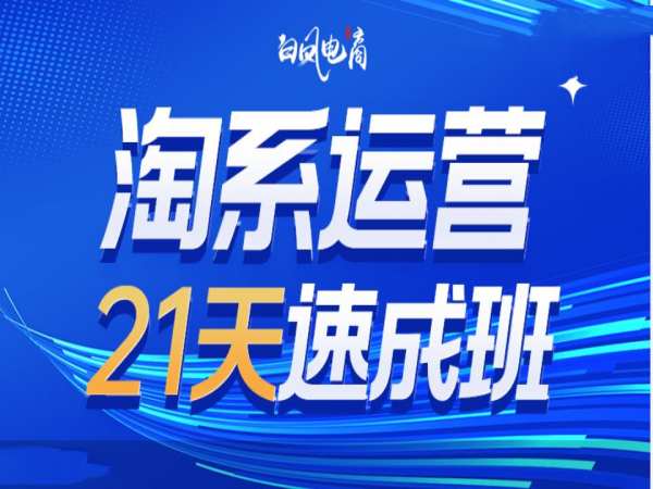 淘系运营21天速成班35期，年前最后一波和2025方向-生财社