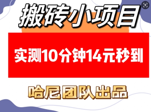 搬砖小项目，实测10分钟14元秒到，每天稳定几张(赠送必看稳定)-生财社