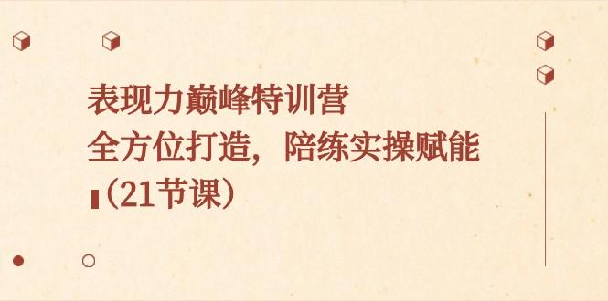 表现力巅峰特训营，全方位打造，陪练实操赋能（21节课）-生财社