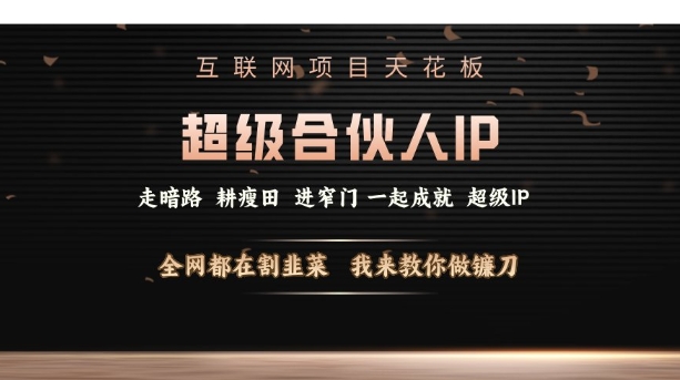 互联网项目天花板，超级合伙人IP，全网都在割韭菜，我来教你做镰刀【仅揭秘】-生财社