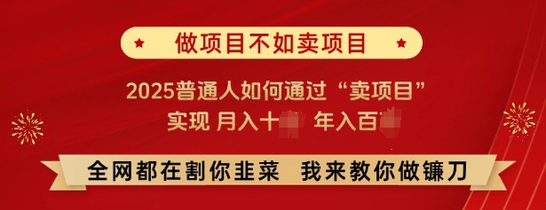 必看，做项目不如卖项目，2025普通人如何通过“卖项目”实现月入十个，年入百个-生财社