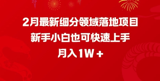 2月最新细分领域落地项目，新手小白也可快速上手，月入1W-生财社