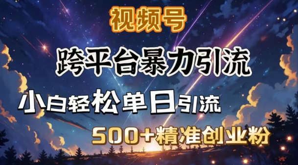 跨平台暴力引流，私域完美闭环，日引500+精准创业粉-生财社