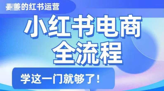 小红书电商全流程，精简易懂，从入门到精通，学这一门就够了-生财社