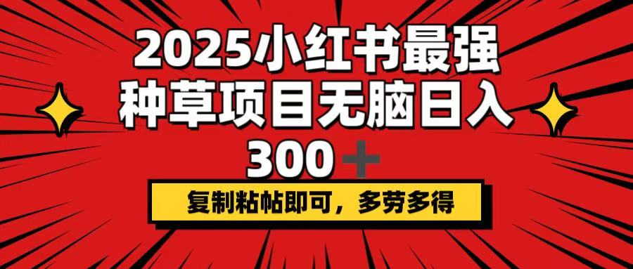 2025小红书最强种草项目，无脑日入300+，复制粘帖即可，多劳多得-生财社