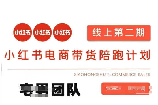 小红书电商带货课2期，月利润20个的小红书电商的有货源，无货源，虚拟产品，付费投流等整套玩法-生财社