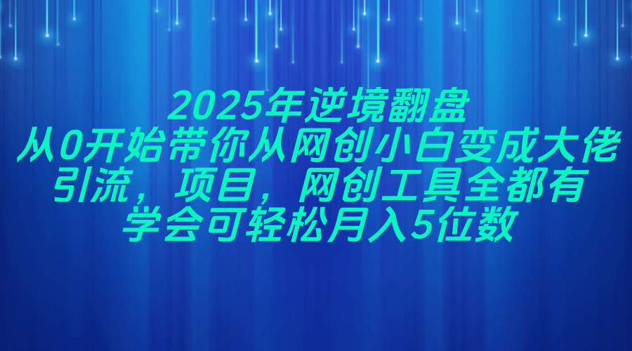 2025年逆境翻盘，从0开始带你从网创小白变成大佬，引流，项目，网创工…-生财社