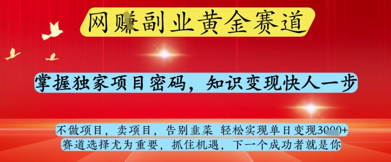 网创副业黄全赛道，掌握独家项目密码，知识变现快人一步，告别韭菜轻松实现单日变现1k+【揭秘】-生财社