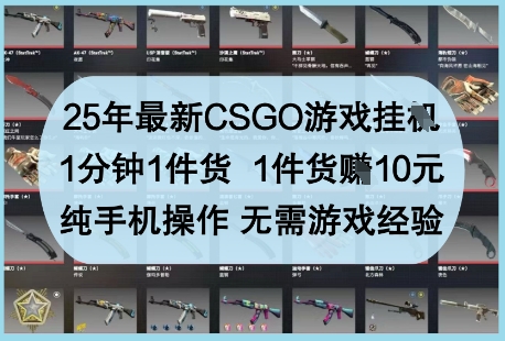 25年最新CSGO游戏挂G，1分钟1件货，1件货挣10元，纯手机操作，无需游戏经验【揭秘】-生财社