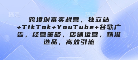 跨境创富实战营，独立站+TikTok+YouTube+谷歌广告，经营策略，店铺运营，精准选品，高效引流-生财社