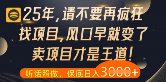 什么？25年你还在疯狂找项目做，醒醒吧，看完这些你全都懂了【揭秘】-生财社