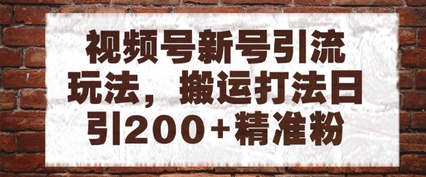 视频号新号引流玩法，搬运打法日引200+精准粉，可矩阵放大【揭秘】-生财社