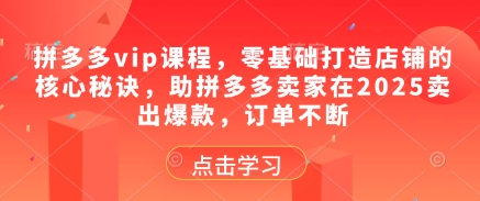 拼多多vip课程，零基础打造店铺的核心秘诀，助拼多多卖家在2025卖出爆款，订单不断-生财社