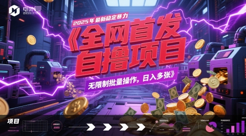 全网首发，2025年最新稳定暴力全自动自撸项目，无限制批量操作，日入多张【揭秘】-生财社
