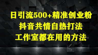 日引流500+精准创业粉，抖音共情自热打法，工作室都在用的方法-生财社