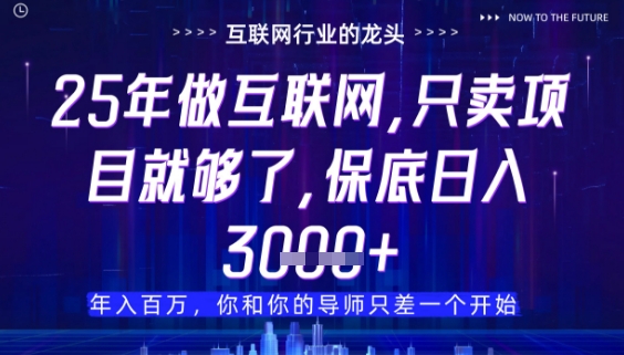 什么！25年你还在找项目做？风口早就变了，卖项目才是稳挣不赔【揭秘】-生财社