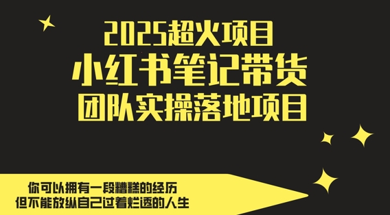 2025超火项目，副业最佳选择，小红书笔记带货团队实操落地项目，，轻松日入5张-生财社