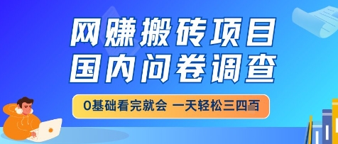 网创搬砖项目，国内问卷调查，小白轻松上手，一天三四张的也不难，干就完了【揭秘】-生财社