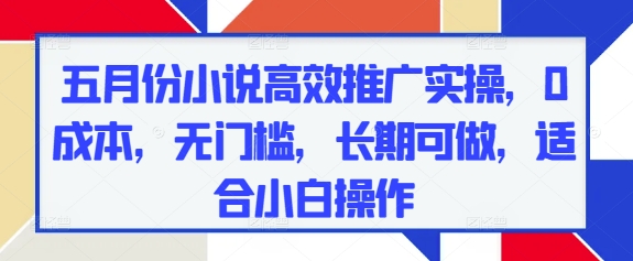 五月份小说高效推广实操，0成本，无门槛，长期可做，适合小白操作-生财社