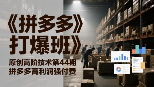 《拼多多打爆班》原创高阶技术第44期，拼多多高利润强付费-生财社
