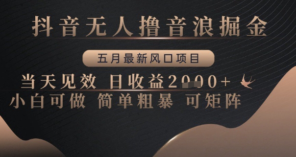 抖音无人撸音浪掘金，五月最新风口项目，当天见效，日收益多张，小白可做简单粗暴可矩阵【揭秘】-生财社
