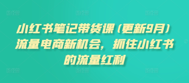小红书笔记带货课(更新25年4月)流量电商新机会，抓住小红书的流量红利-生财社