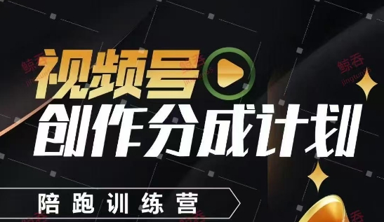 视频号创作分成计划陪跑训练营，手把手教会你如何制作视频，细水长流型项目-生财社