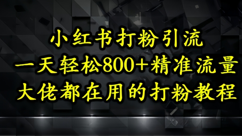 小红书打粉引流，一天轻松500+精准流量，大佬都在用的打粉教程-生财社