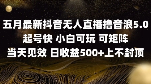 2025五月最新无人直播撸音浪单日产出5张+实操教程【揭秘】-生财社