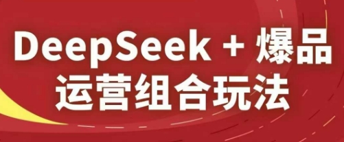 DeepSeek+爆品运营组合玩法，2025淘系精品课-生财社