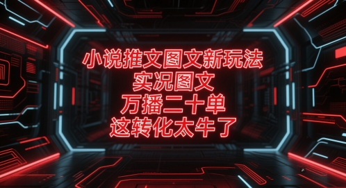 小说推文图文新玩法，实况图文，万播二十单，这转化太牛了！-生财社