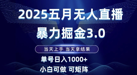 2025五月无人直播暴力掘金3.0，当天上手，当天拿结果，单号日入1k+小白可做可矩阵【揭秘】-生财社