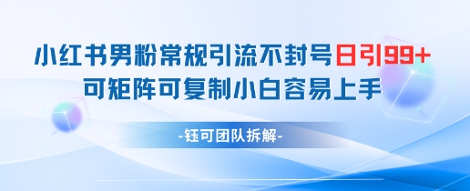 小红书男粉常规引流不封号日引99+变现简单 可矩阵可复制小白容易上手-生财社