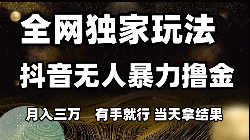 全网独家玩法抖音无人暴力撸金，月入3W，有手就行，当天拿结果【揭秘】-生财社