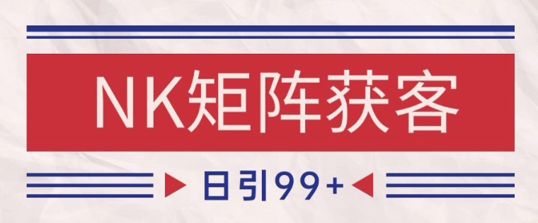 小红书某音NK赛道引流获客 自热矩阵日引200+【揭秘】-生财社