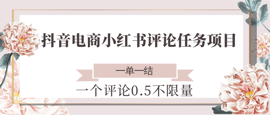抖音电商小红书评论任务项目，一个评论0.5，一单一结 不限量-生财社