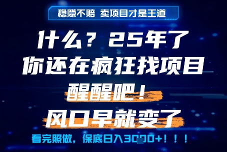 什么？25年你还在疯狂找项目做，醒醒吧，看完这些你全都懂了！【揭秘】-生财社