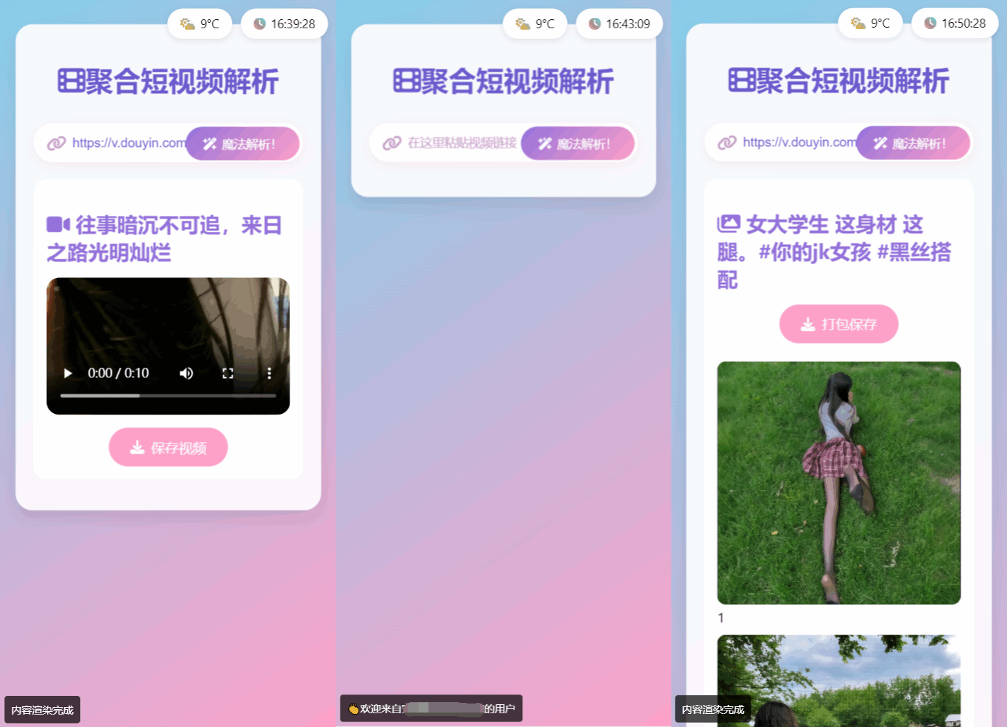 全新二次元聚合短视频解析去水印系统源码 自适应双端-生财社