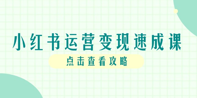 小红书运营变现速成课，账号搭建到暴力起号，个人IP全流程指南-生财社