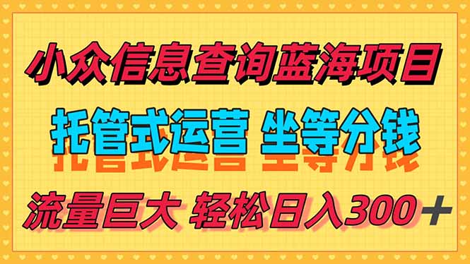 稳定日入300＋，小众信息查询蓝海项目，全程懒人式托管，解放你的时间-生财社