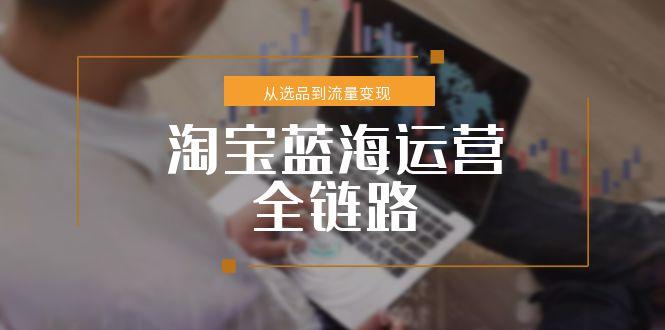 淘宝蓝海运营全链路，从选品到流量变现，小类目突围完整方案-生财社